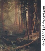 Giant Art Print - Giant Redwood Trees Of California