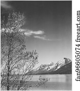 Park Art Print - Grand Teton National Park, Wyoming. (Vertical Orientation). Photographs Of National Parks And Monuments, Compiled 1941 - 1942, Documenting The Period Ca. 1933 - 1942.