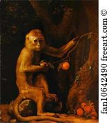 1798 Art Print - Green Monkey