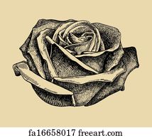 Free art print of Hand draw sketch rose . Hand draw black and white 