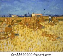 Provence Art Print - Harvest In Provence