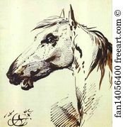 Head Of A Horse Art Print - Head Of A Horse