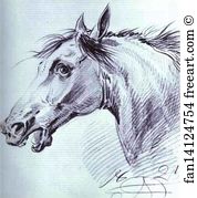 Head Of A Horse Art Print - Head Of A Horse
