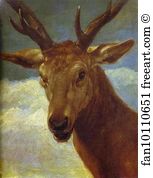 Stag Art Print - Head Of A Stag