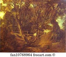 Dell Art Print - Helmingham Dell