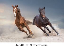 Free art print of Horses run. Horses in winter | FreeArt | fa7532938