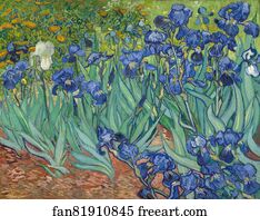Vincent Van Gogh Art Print - Irises