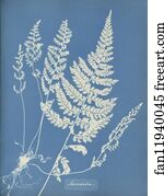 Jamaica Art Print - Jamaica