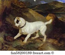 Milwaukee Art Print - Jocko With A Hedgehog