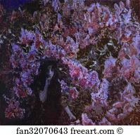 Lilac Art Print - Lilac