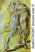 Lioness Art Print - Lioness