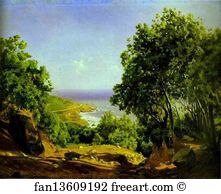 Livorno Art Print - Livorno. Road To The Sea At Antiniano Near Livorno