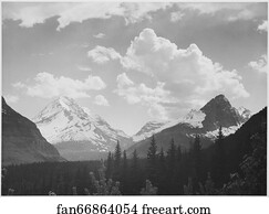 Forest Art Print - Looking Across Forest To Mountains And Clouds, "in Glacier National Park, " Montana. Photographs Of National Parks And Monuments, Compiled 1941 - 1942, Documenting The Period Ca. 1933 - 1942.