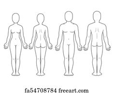 male and female body outline
