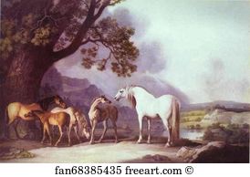 R Art Print - Mares And Foals In A Mountainous Landscape