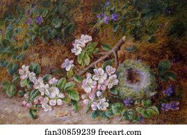 Birds Art Print - May Blossom And A Bird's Nest