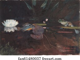 Pond Art Print - Mink Pond