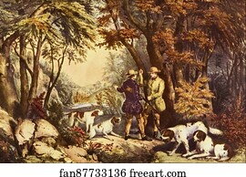 Woods Art Print - Morning In The Woods