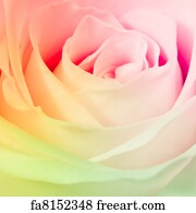 Free art print of Rose macro. Close up of rose petals | FreeArt | fa8117561