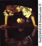 Narcissus Art Print - Narcissus