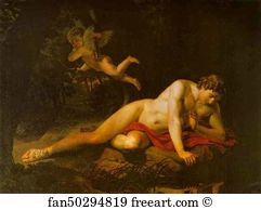Narcissus Art Print - Narcissus