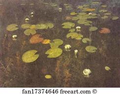 Picture Art Print - Nenuphars (Water Lilies)