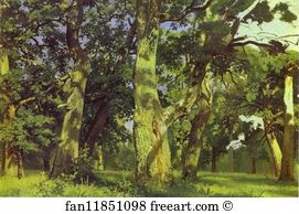 1887 Study Oil On Canvas The Tretyakov Gallery Art Print - Oaks. Evening