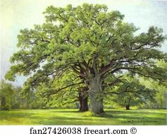 Peterhof Art Print - Oaks In Old Peterhof