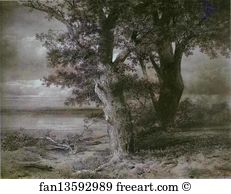Banks Art Print - Oaks On River Bank
