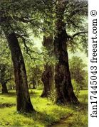 1887 1887 Oil On Canvas The Russian Museum Art Print - Oaks