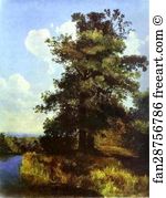 1855 Oil On Canvas The Russian Museum Art Print - Oaks