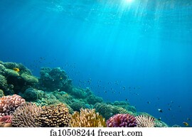 Free Art Print Of Ocean Background Sea View On Tropical Beach In