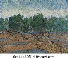 Grove Art Print - Olive Grove
