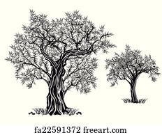 Free art print of Olive Trees | FreeArt | fa15363173