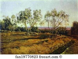 Cemetery Art Print - Olives Near Cemetery In Albano. New Moon