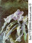 1886 87 Art Print - Orchid