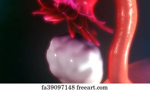 Free Vagina Art Prints and Wall Artwork | FreeArt