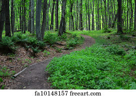 Free art print of Path  through  early spring  forest  Path  