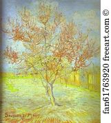 March Art Print - Peach Tree In Bloom. (In Memory Of Mauve)