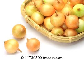 Get Picolos Images