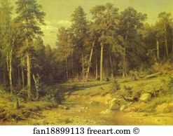 1872 Oil On Canvas The Tretyakov Gallery Art Print - Pine Forest In Viatka Province
