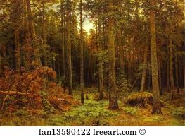 Pine Forest Art Print - Pine Forest