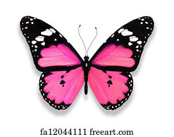 Free Butterflies Art Prints and Artworks | FreeArt