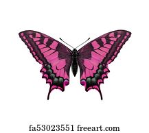 Featured image of post Pink Printable Butterfly Pictures : This printable butterfly jigsaw makes a quick activity for a rainy afternoon.