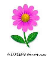 Free Art Print Of Pink Osteospermum Daisy Flower Head Isolated. Violet 