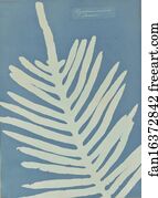 Jamaica Art Print - Polypodium Aureum (Jamaica)