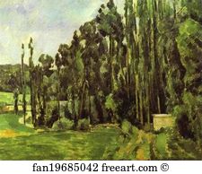 Poplar Art Print - Poplar Trees