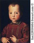 Lucca Art Print - Portrait Of Garcia De'medici