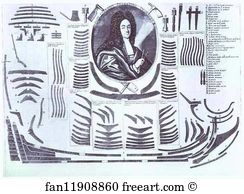 1717 Etching Art Print - Portrait Of I. M. Golovin