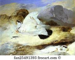 1833 Art Print - Ptarmigan